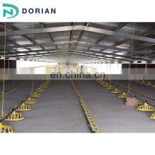 Modular Prefabricated Steel Structure Chicken House Construction thumbnail-3