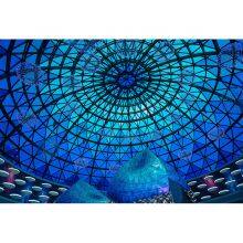 Glass Dome Roof For Conference Hall/building thumbnail-4