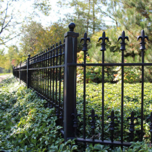 High-Quality Galvanized Steel Wrought Iron Fence for Garden Decoration and Safety thumbnail-4