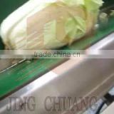 Cabbage Cutting Machine/Cabbage Cut halves machine