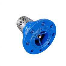 JIS/ANSI/DIN Pn16 Flanged Cast Iron Gg25 Foot Valve With Stainless Steel Mesh for Water Pump Bottom Valve thumbnail-6