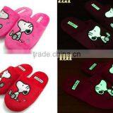 Glowing Slippers