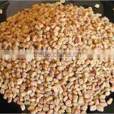 Fenugreek Seeds
