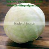 *2016 _ Fresh Green Cabbage _ Good Quality* thumbnail-2