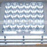 Paper Pulp Automatic Fruit Tray Production Line thumbnail-3