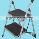 Steel Ladder (1302)