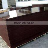 Construction Plywood thumbnail-1