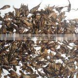 Dried Crickets for Pets thumbnail-1