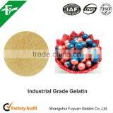 Industrial Gelatin For Match Head Supply Free Samples thumbnail-4