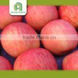 Red Apple, Fuji Apple Laptop China thumbnail-1