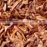 Chinese Beautiful Flower Tree Seeds Lilac Tree Seeds for Planting