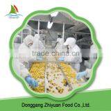 Good Rating China Raw Natural Frozen Chestnut on Sale thumbnail-6