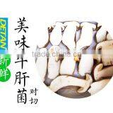 New Dried Boletus Edulis Price, Porcini Mushrooms for Sale thumbnail-4
