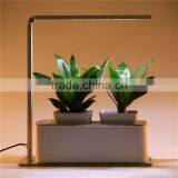 Coconut Shell Flower Lamp thumbnail-1