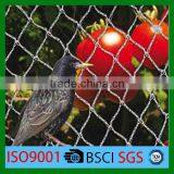 High Quality HDPE bird protection net U.V.