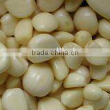 Garlic Peeler Machine/stainless Steel Garlic Peeler/garlic Skin Peeler thumbnail-2