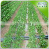 2015 Christmas Promotion! Plastic Drip Irrigation Tube for Germany thumbnail-2