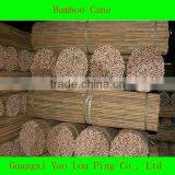 Tonkin Bamboo Cane/Cane Bamboo/Bamboo Pole thumbnail-1