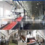 Cassava Dryer Fully Automatic Potato Chips Production Line thumbnail-1