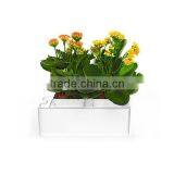 2014 Newest Office Decoration Mini Smart Garden thumbnail-5