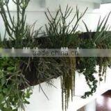 Vertical Wall Hanging Flower Planter Bag,Hanging Flower Grow Bag,Flower Growing Bags/waterproof Wall Hanging Bag thumbnail-2