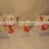 Ceramic Bear With Plush Finish SN11100 thumbnail-1