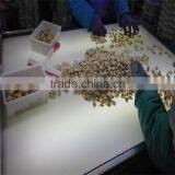 Boiled Short Neck Clam Nature Fresh FAO61 thumbnail-3