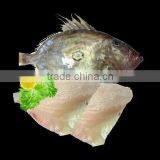 Frozen Fillets of John Dory Fillet Zeus Faber Fillet 150-200g thumbnail-3