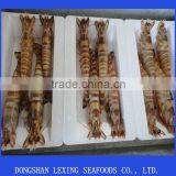 Fresh Frozen Black Tiger Shrimp
