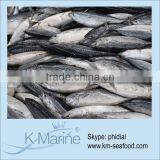 Carton or Woven Bag Packed Without Faure Marin Frozen Whole Fish Tuna thumbnail-1