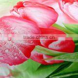 Chinese Factory Digital Print Bamboo Bed Linen thumbnail-4