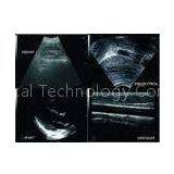 Digital Mobile B 10.1 High - Resolution TFT LCD Laptop Ultrasound Scanner BIO 3000M thumbnail-1