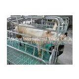 Pig Farm Piggery Livestock Farming Equipment 500 * 300mm Plastic Floor thumbnail-1
