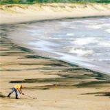 Oil Removal thumbnail-1