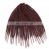 Bundle Weft Brazilian Remy Virgin Human Crochet Hair Extension Braids thumbnail-2