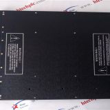 Triconex 3003 Module New And Hot In Sale