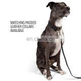 High Quality Dog Leash Water Resistant Heavy Full Grain Leather Lead Training Leahses thumbnail-3