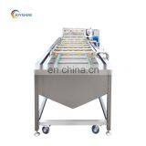 Industrial Fruit Washing Waxing Machine Automatic Conveyor Belt Bubble Washer With CE Certificate thumbnail-3
