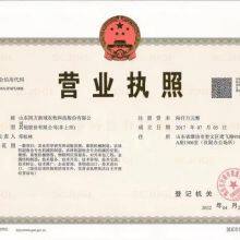 Business License