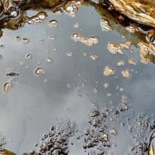 Squid Liver Paste thumbnail-3