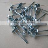 Top Selling Galvanized Umbrella Head Roofing Nails Factory