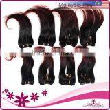 Perfect Constructed No Shedding Two Color Ombre Malaysian Wholesale Human Hair thumbnail-1