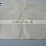 Cooler Bag for Frozen Food thumbnail-3