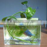 2015 Hot Sale Funny Acrylic Fiber Fish Aquarium Tank With Poster Pasted on Back Board thumbnail-2