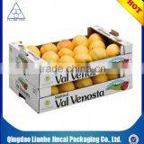 Good Quality Paper Fruit Box for Fresh Fruit thumbnail-6