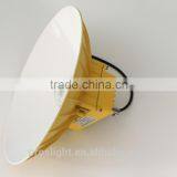 50W, 100w LED Explosion Proof Lamp