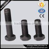 China Supplier M16-M30 High Strength Full Threaded Hex Bolt thumbnail-4