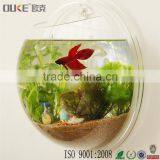 Wall Mount New Stly Transparent Acrylic Fish Tank thumbnail-4
