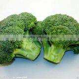2013 New Green Giant Frozen Vegetable thumbnail-1