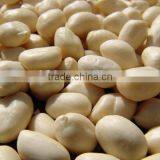 New Crop Blanched Peanut Kernels, Round Shape, Carton Packing Top Quality thumbnail-2